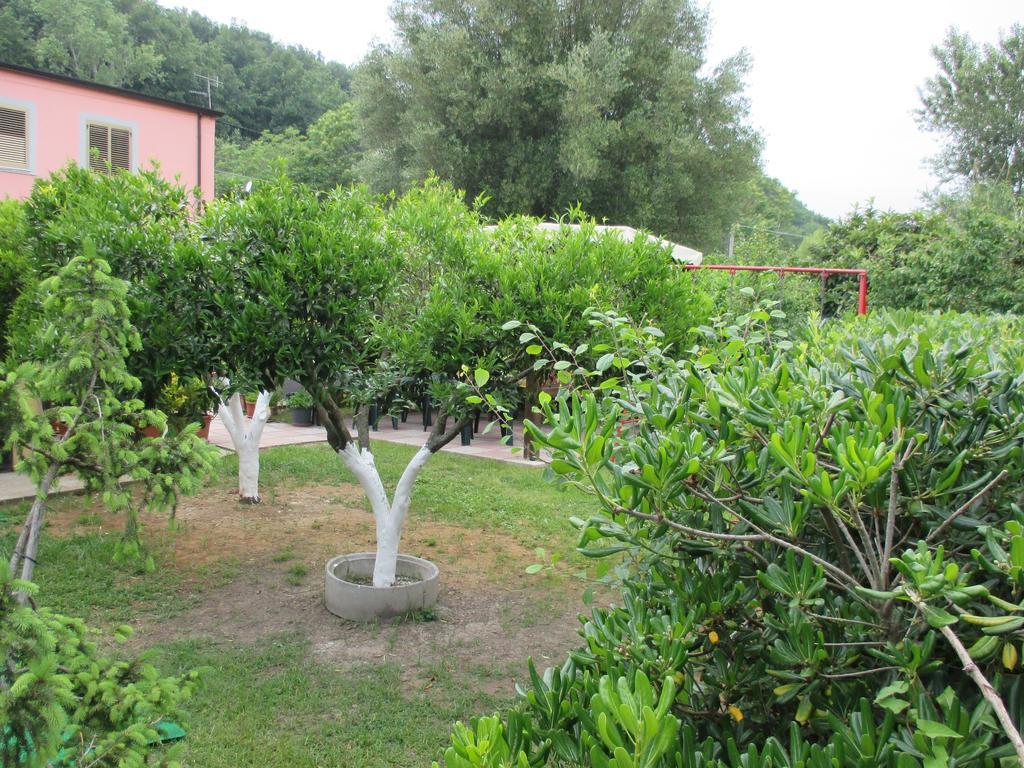Palinuro Casa Vacanze "Donna Antonia" Exteriör bild
